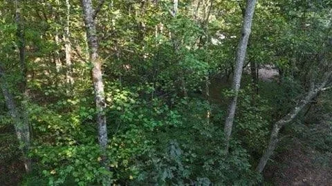 0 Lower River Road NW
