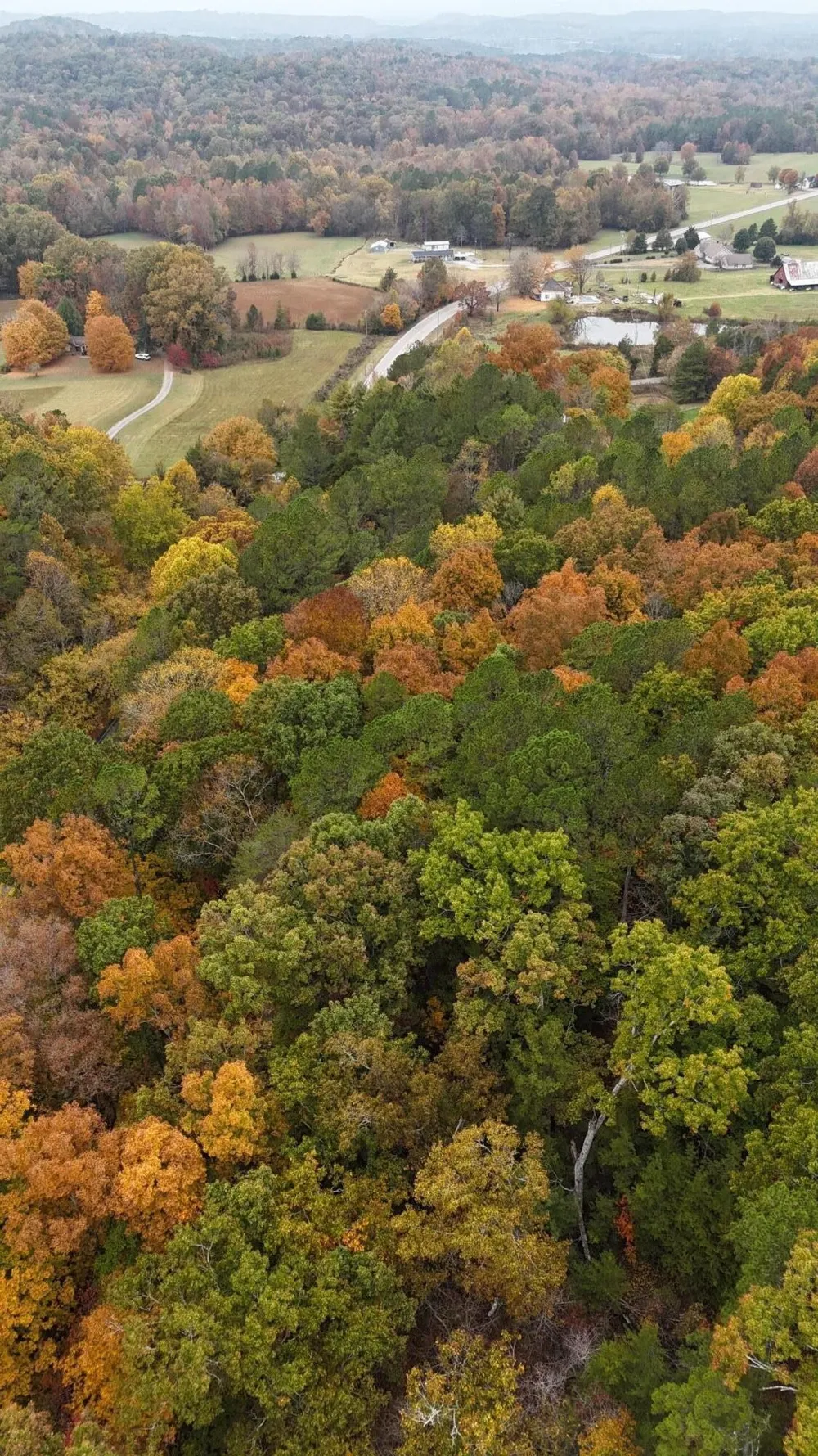 0 Lower River Road NW Georgetown, TN 37336