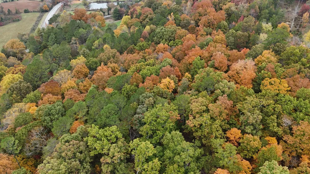 0 Lower River Road NW Georgetown, TN 37336