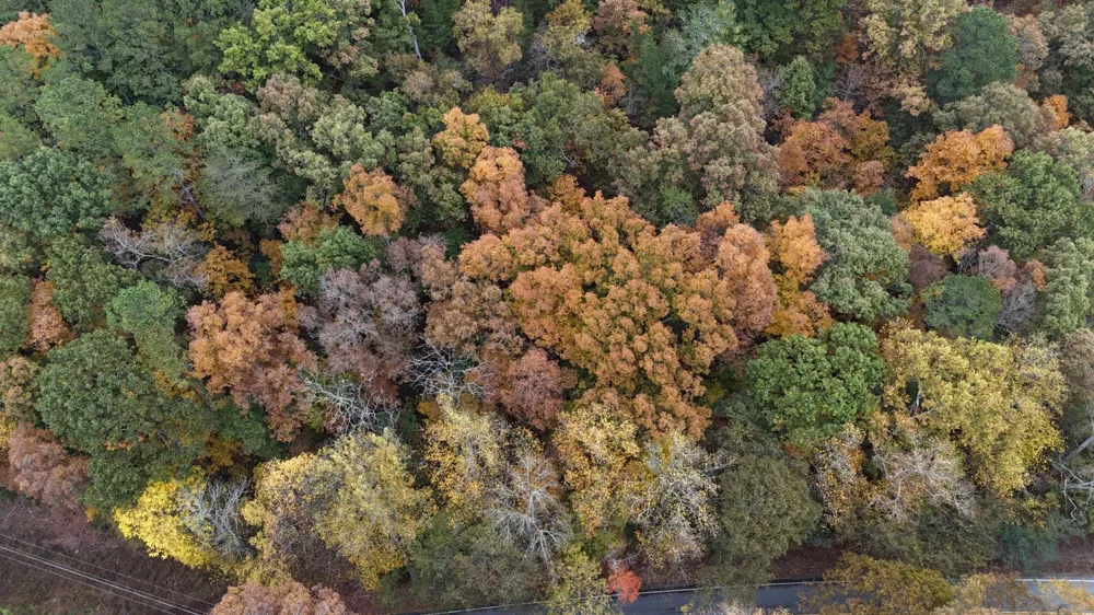 0 Lower River Road NW Georgetown, TN 37336