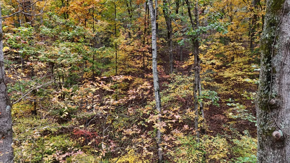 0 Lower River Road NW Georgetown, TN 37336