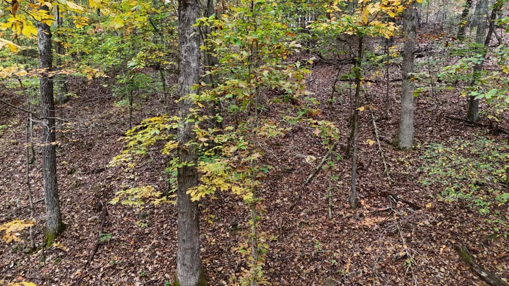 0 Lower River Road NW Georgetown, TN 37336