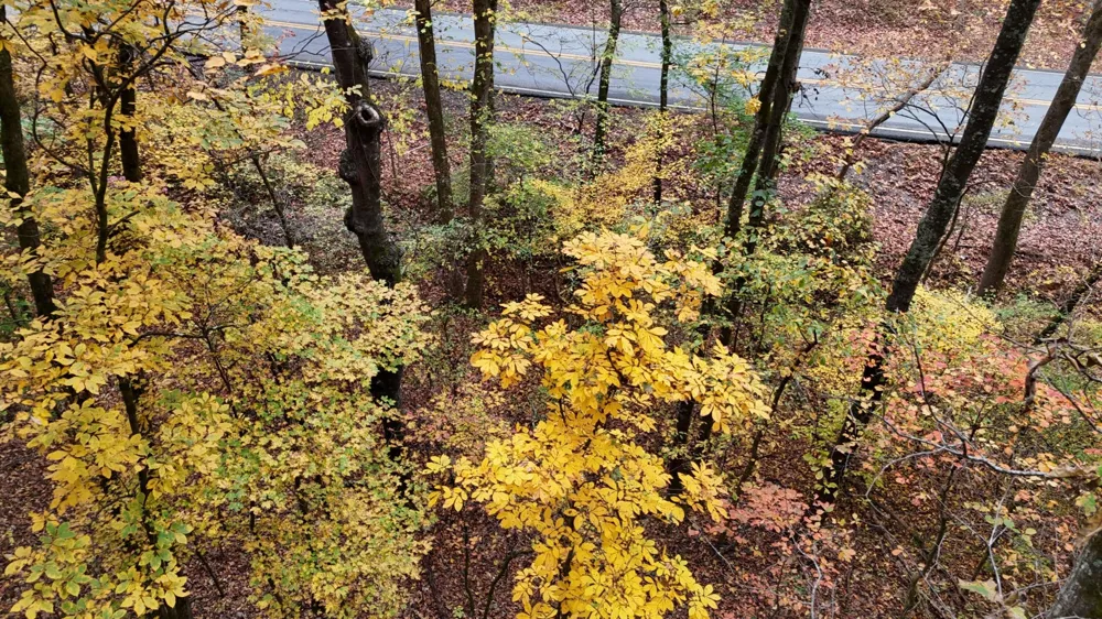 0 Lower River Road NW Georgetown, TN 37336