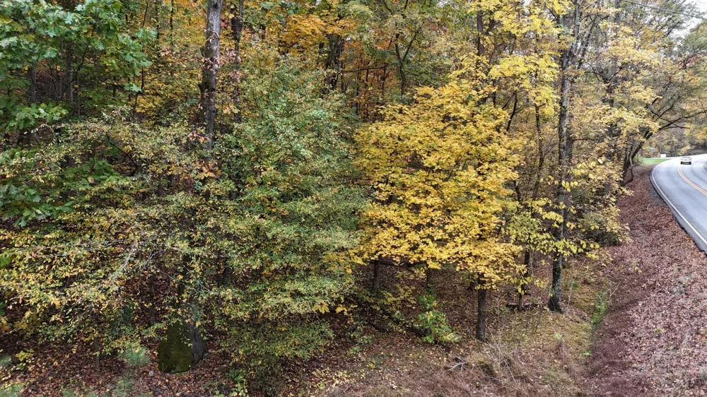 0 Lower River Road NW Georgetown, TN 37336
