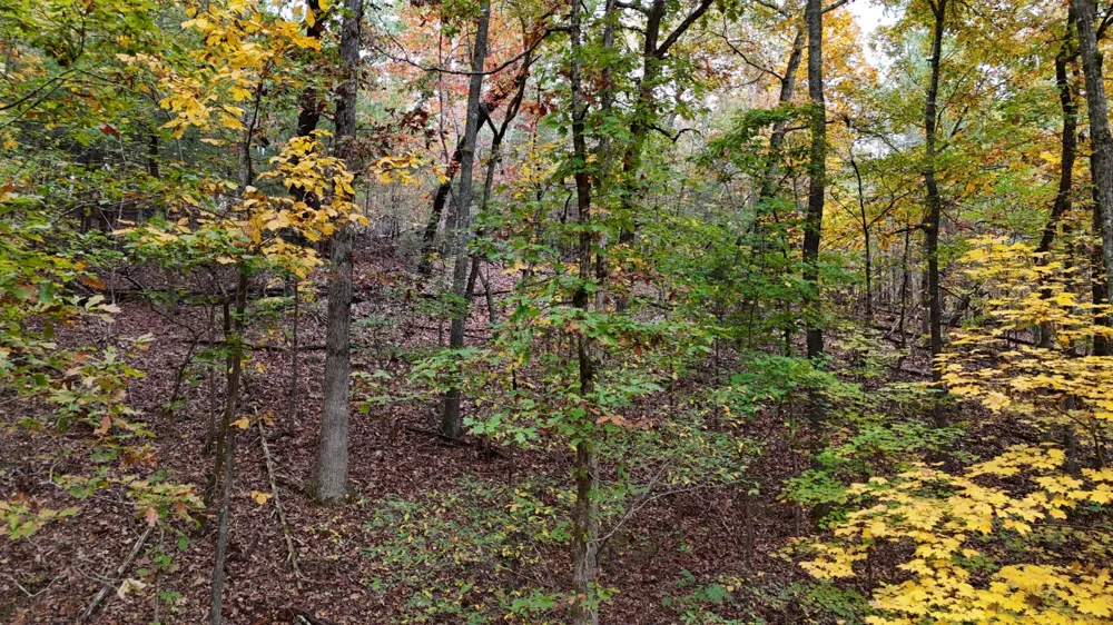 0 Lower River Road NW Georgetown, TN 37336