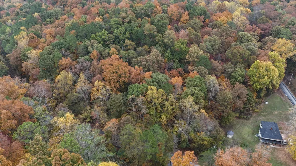 0 Lower River Road NW Georgetown, TN 37336