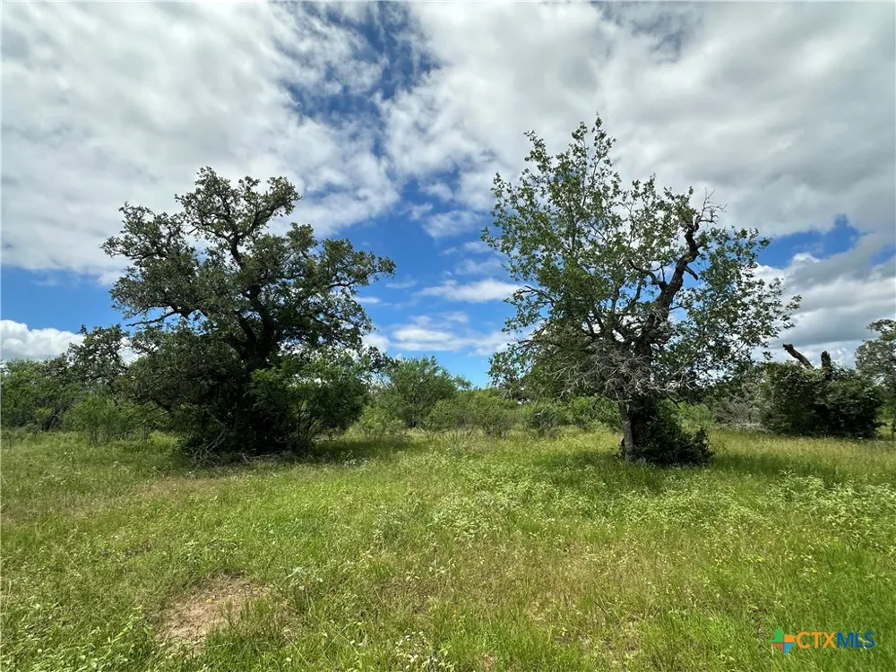 9 Burlin Lane Meyersville, TX 77974