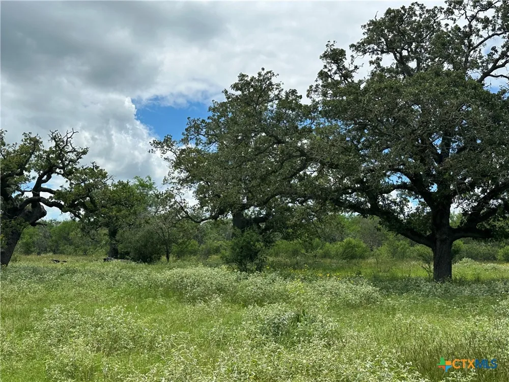 9 Burlin Lane Meyersville, TX 77974