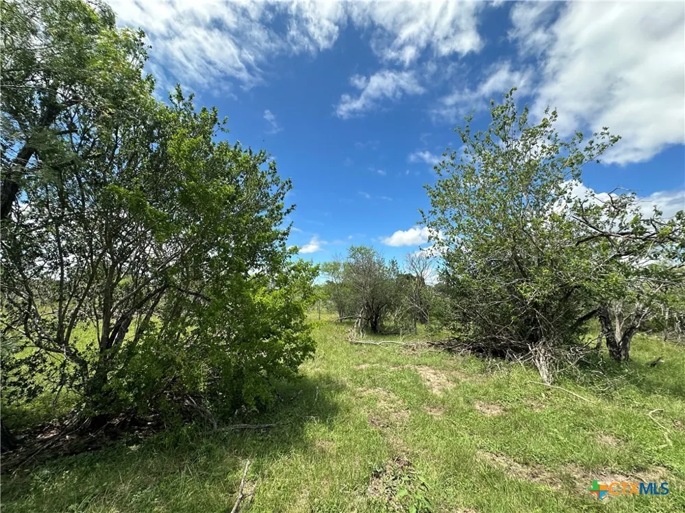 9 Burlin Lane Meyersville, TX 77974