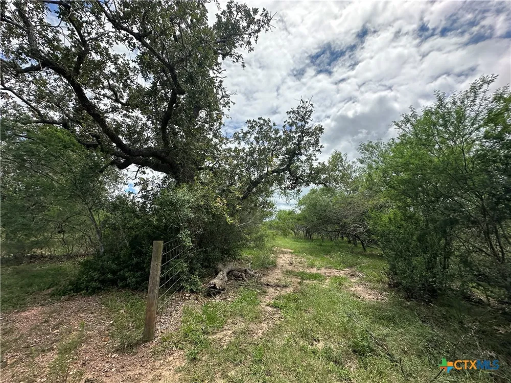 9 Burlin Lane Meyersville, TX 77974