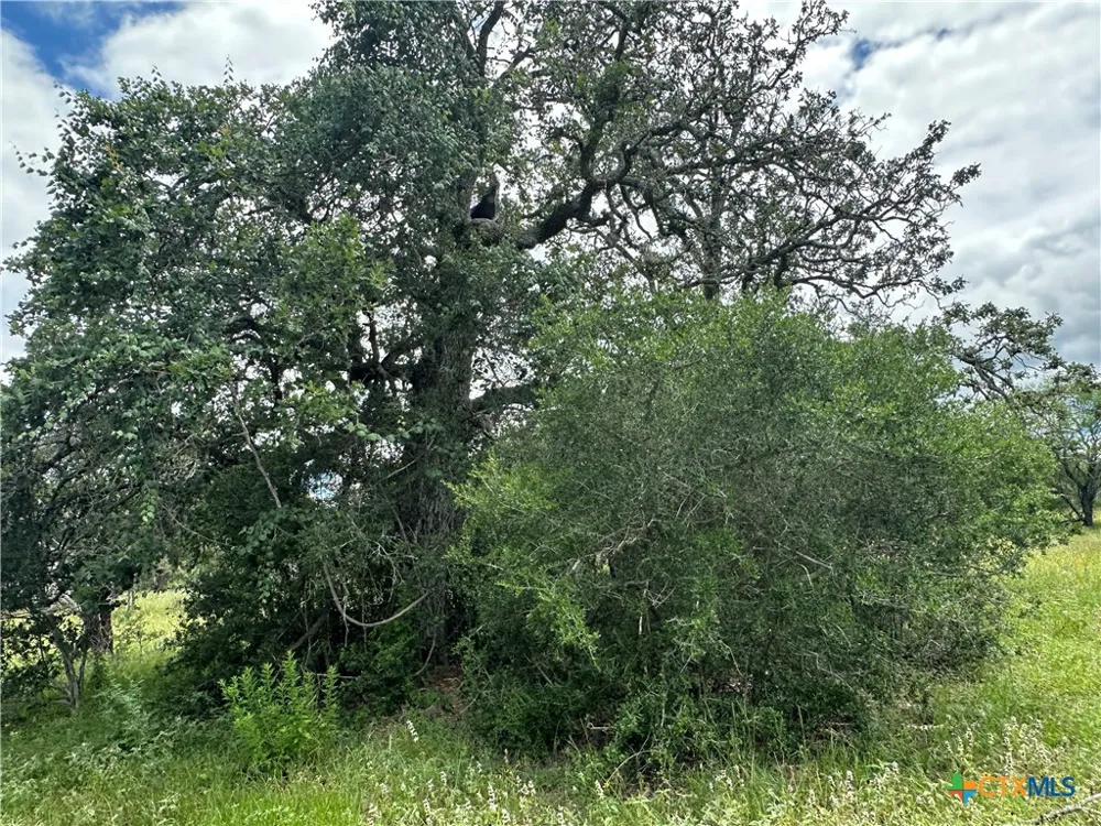 9 Burlin Lane Meyersville, TX 77974