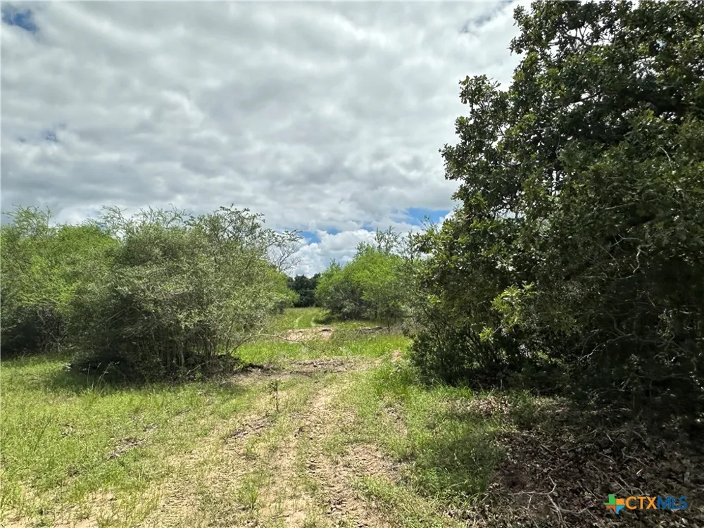9 Burlin Lane Meyersville, TX 77974