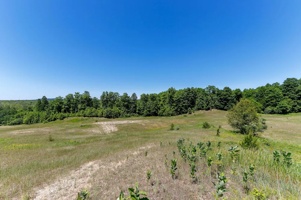 Nessen City Road Cleon Township, MI 49625