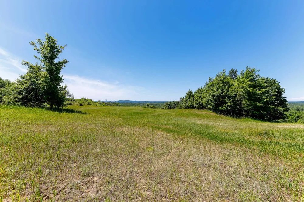 Nessen City Road Cleon Township, MI 49625