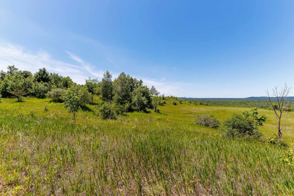 Nessen City Road Cleon Township, MI 49625