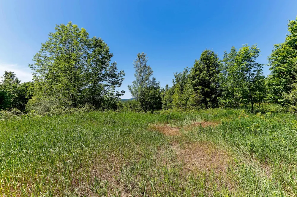 Nessen City Road Cleon Township, MI 49625