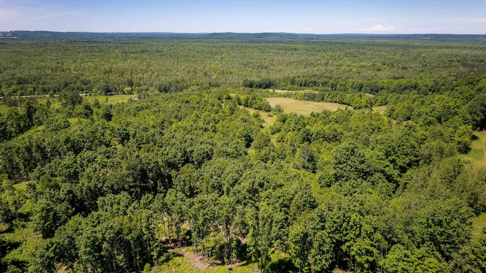 Nessen City Road Cleon Township, MI 49625