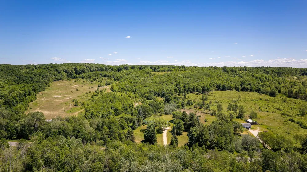 Nessen City Road Cleon Township, MI 49625