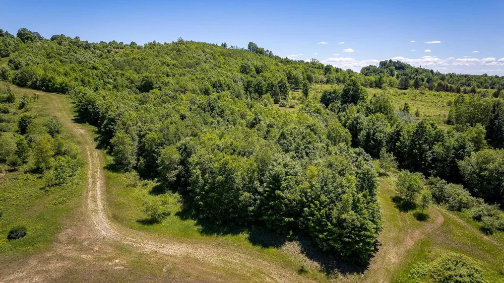 Nessen City Road Cleon Township, MI 49625