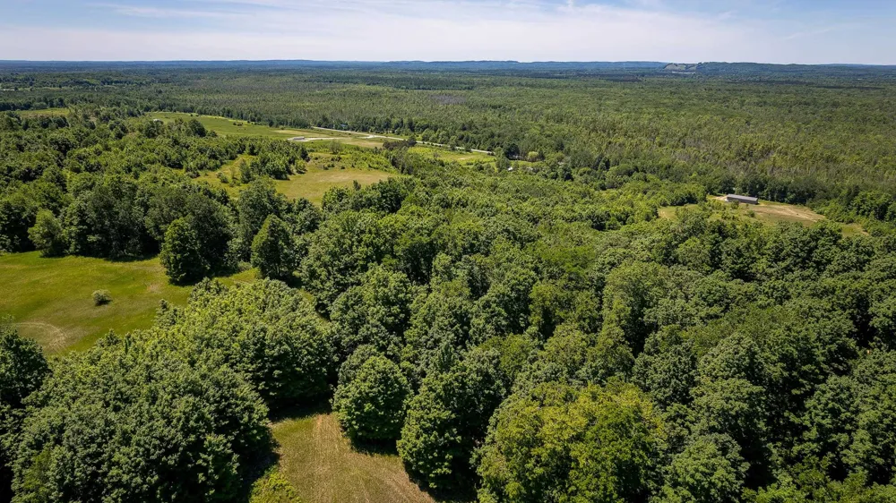 Nessen City Road Cleon Township, MI 49625