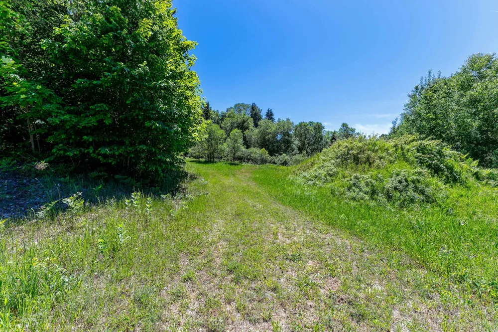Nessen City Road Cleon Township, MI 49625