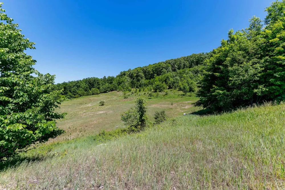 Nessen City Road Cleon Township, MI 49625