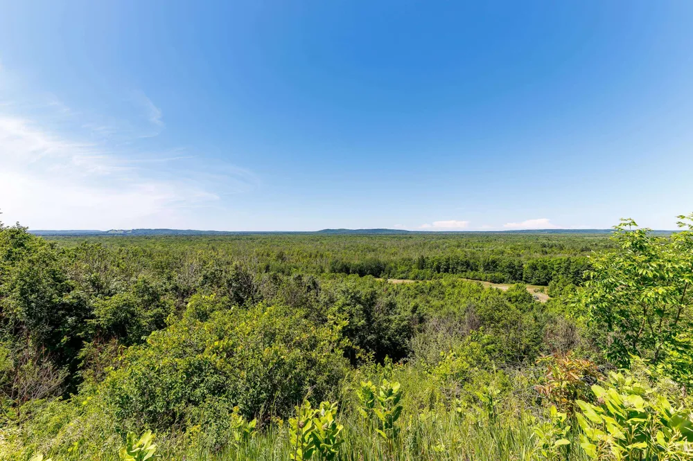 Nessen City Road Cleon Township, MI 49625