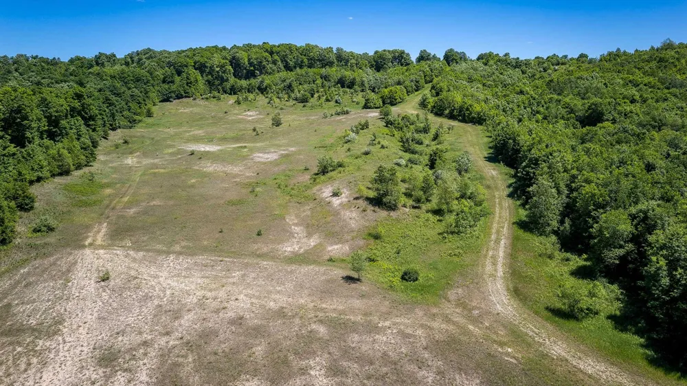 Nessen City Road Cleon Township, MI 49625