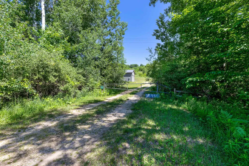 Nessen City Road Cleon Township, MI 49625