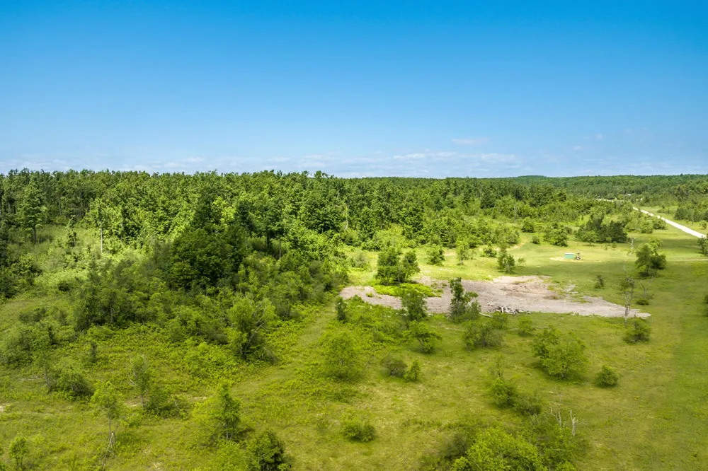 Mount Frederic Road Frederic Township, MI 49733