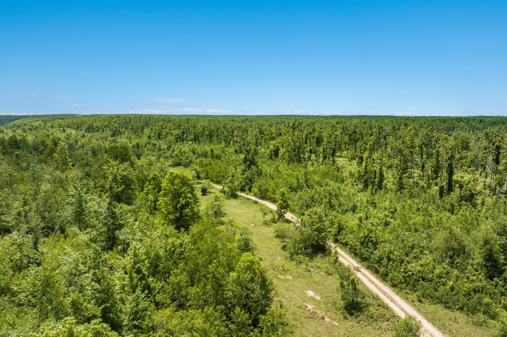 Mount Frederic Road Frederic Township, MI 49733