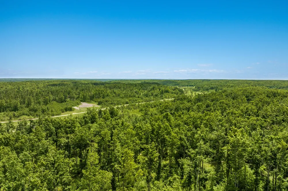 Mount Frederic Road Frederic Township, MI 49733