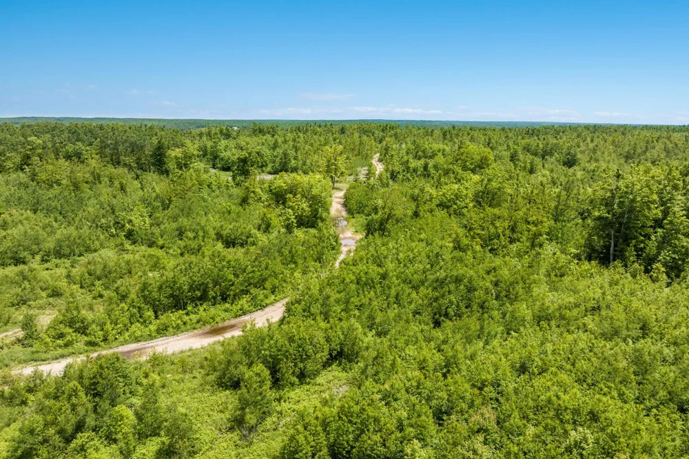 Mount Frederic Road Frederic Township, MI 49733