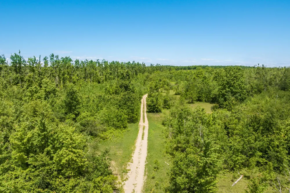 Mount Frederic Road Frederic Township, MI 49733