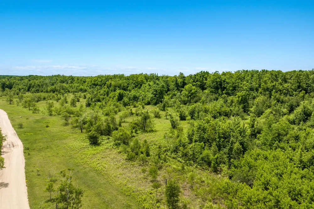 Mount Frederic Road Frederic Township, MI 49733
