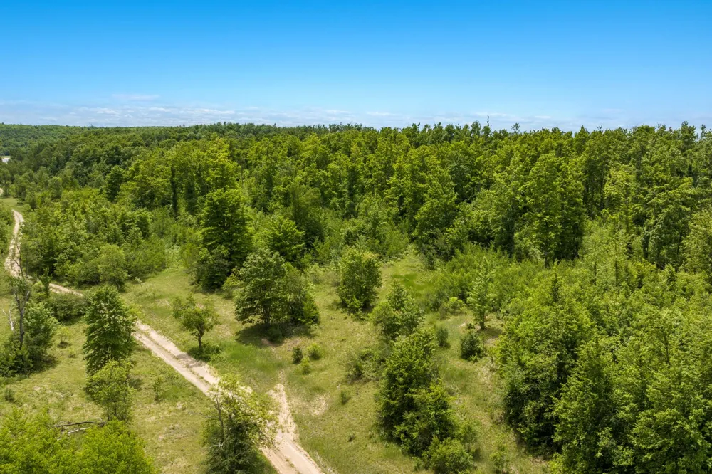 Mount Frederic Road Frederic Township, MI 49733