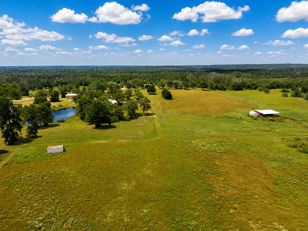 318 Grey Wolf Lane Bastrop, TX 78602