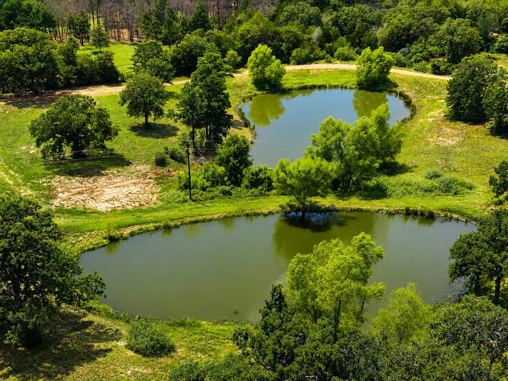 318 Grey Wolf Lane Bastrop, TX 78602