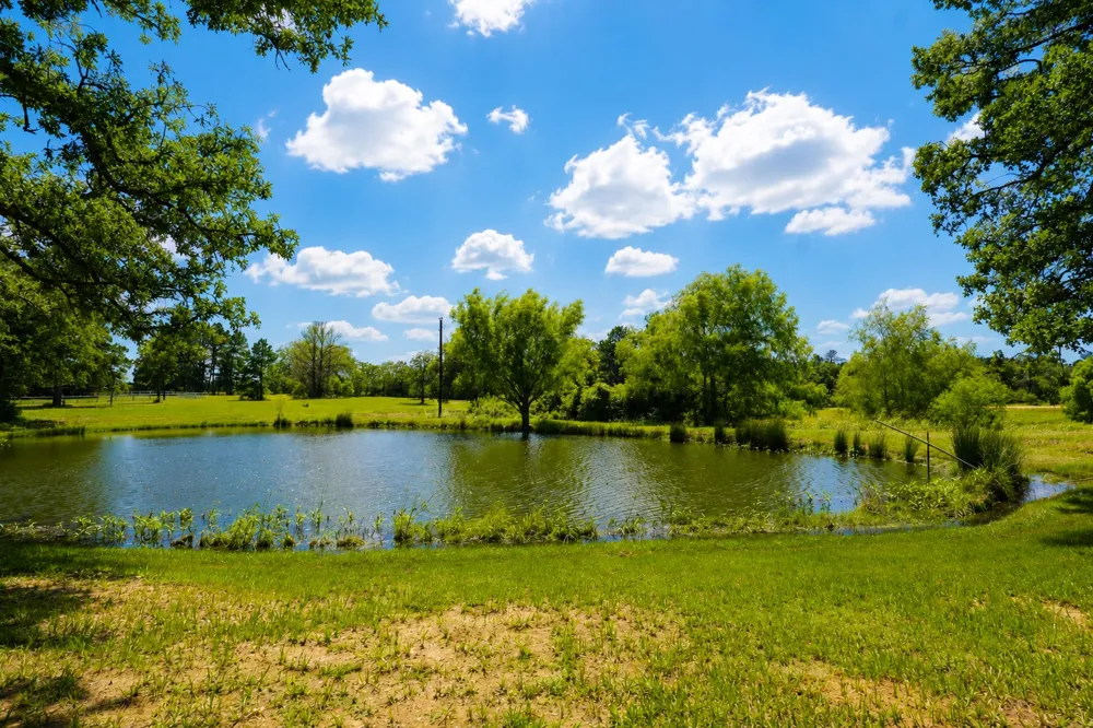 318 Grey Wolf Lane Bastrop, TX 78602