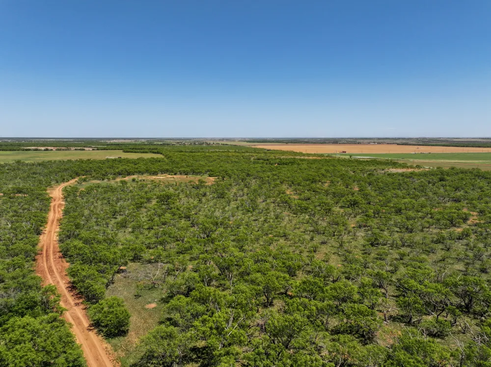 FM 1812 Hawley, TX 79525