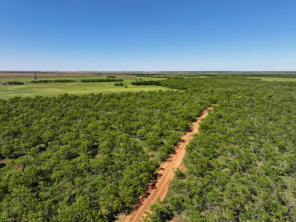 FM 1812 Hawley, TX 79525