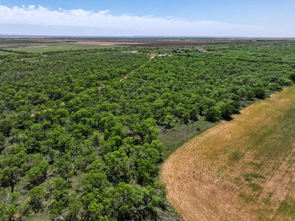 FM 1812 Hawley, TX 79525
