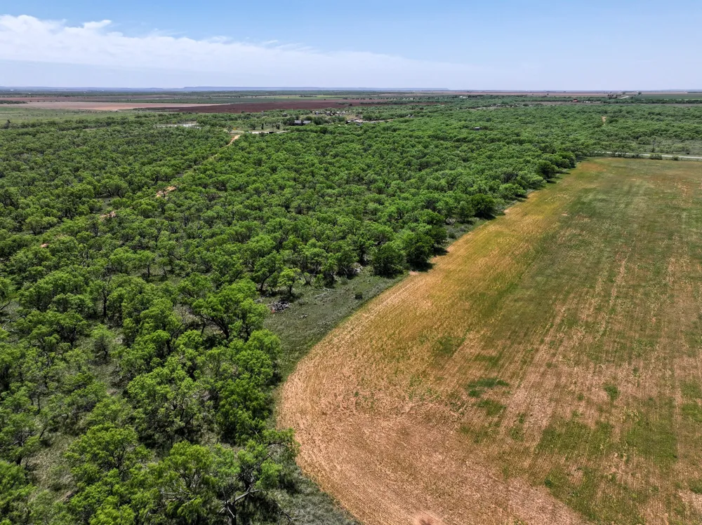 FM 1812 Hawley, TX 79525