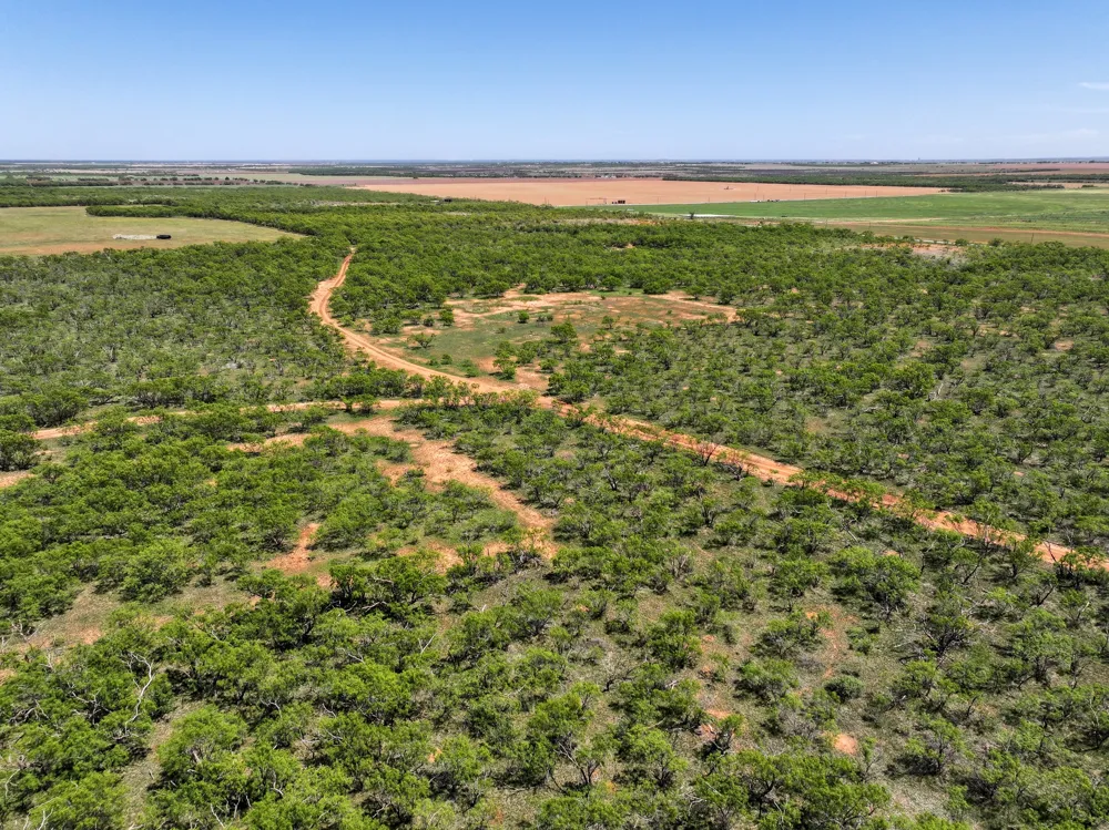 FM 1812 Hawley, TX 79525