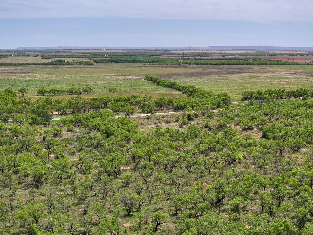 FM 1812 Hawley, TX 79525