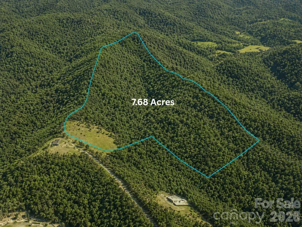 TBD1 Panther Ridge Lane Franklin, NC 28734