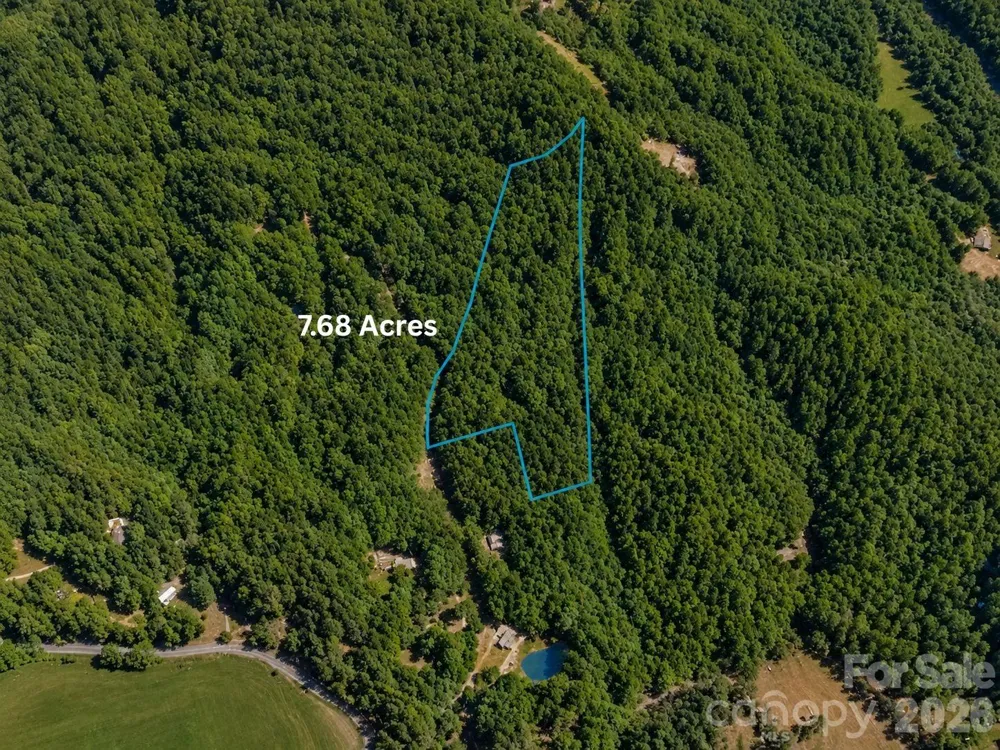 TBD1 Panther Ridge Lane Franklin, NC 28734