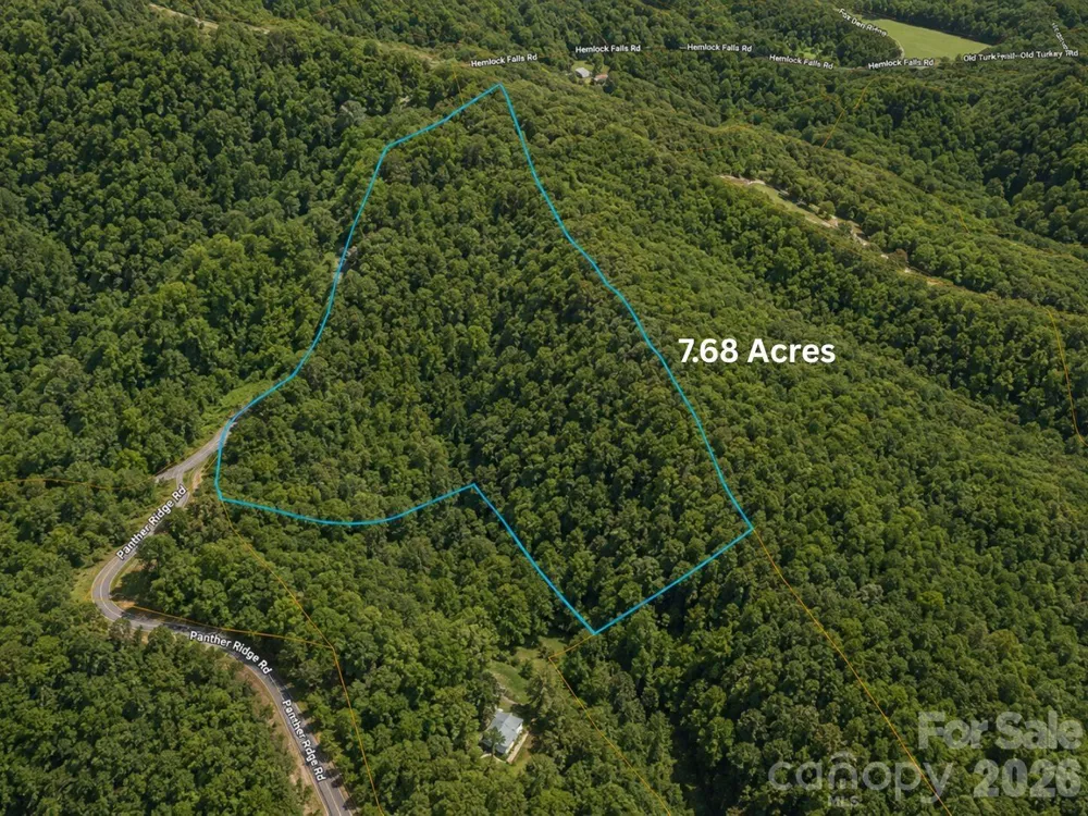 TBD1 Panther Ridge Lane Franklin, NC 28734