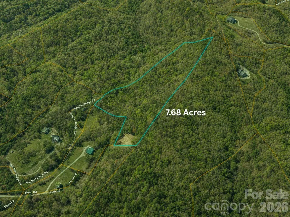 TBD1 Panther Ridge Lane Franklin, NC 28734