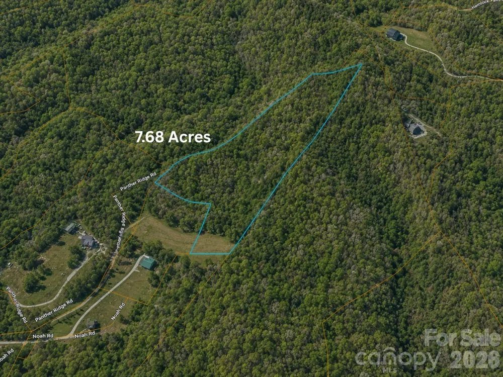 TBD1 Panther Ridge Lane Franklin, NC 28734
